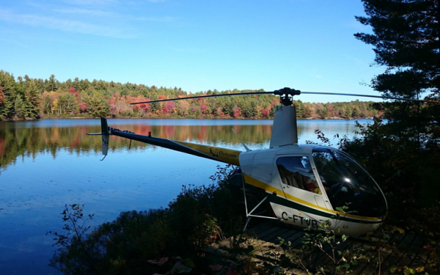 1995 Robinson R22 Beta Robinson - Helicopters Piston