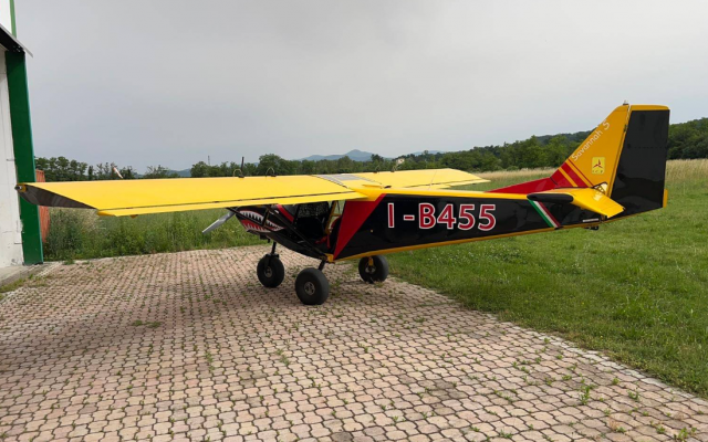 ICP Savannah S I.C.P. - Aircraft Piston
