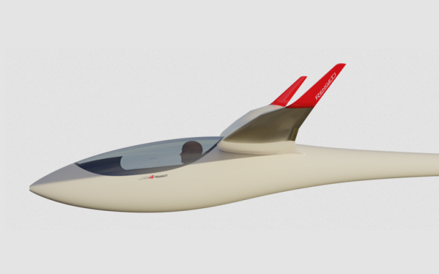 The JS4 Rengeti. 15/18m Standard Class Sailplane Jonker Sailplanes - Gliders Piston