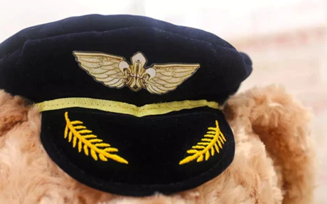 Captain Pilot & Cabin Crew Teddy Bear & Dolls Shop - Aircraft Accessories
