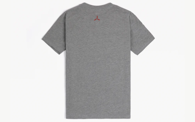Youth “Are We Flying Today?” Tee (Gray) Icon - Aircraft Accessories