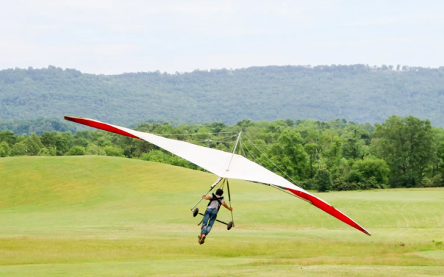 The Flight School  - Schools & Jobs Schools